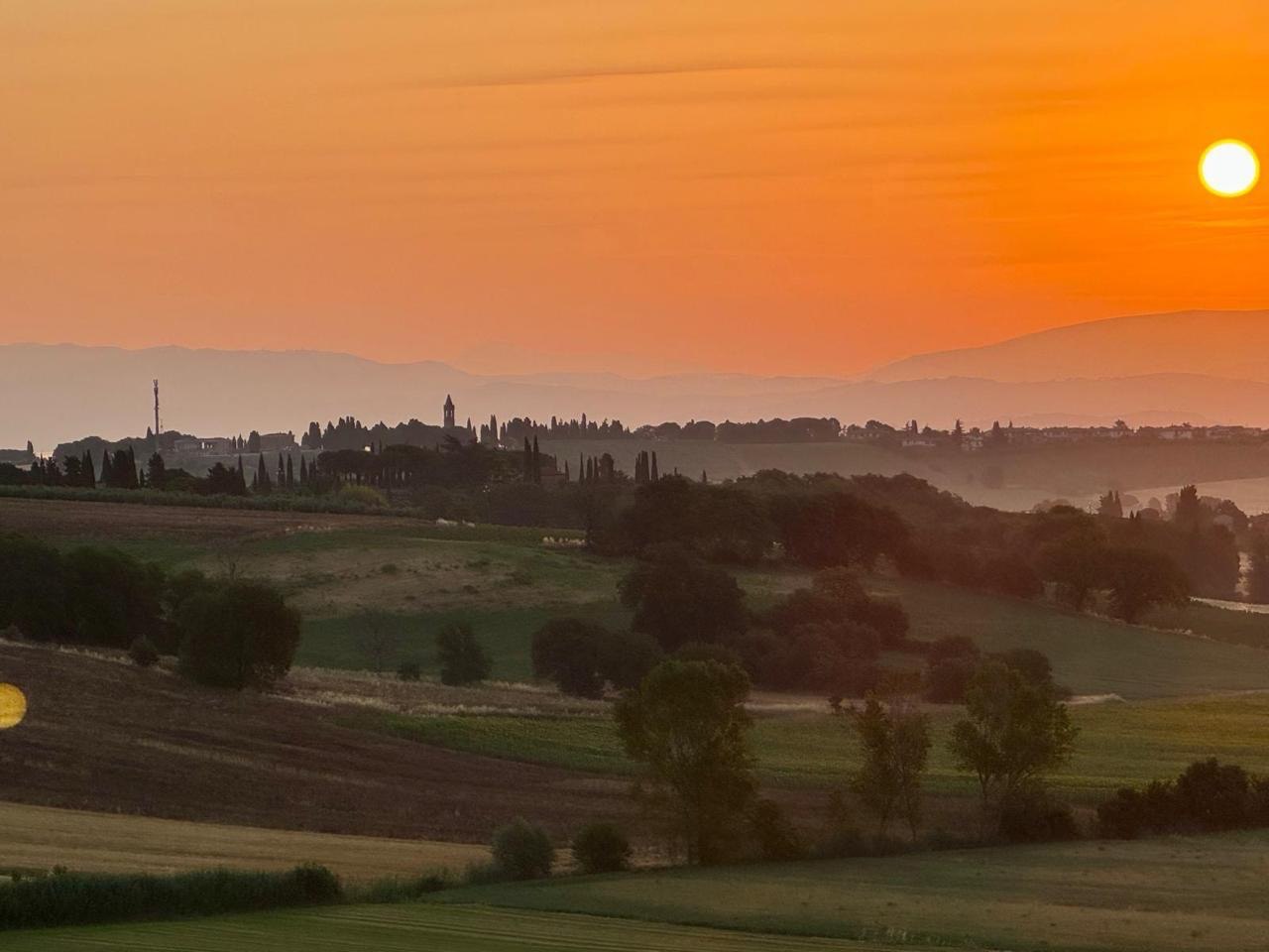 Late Summer