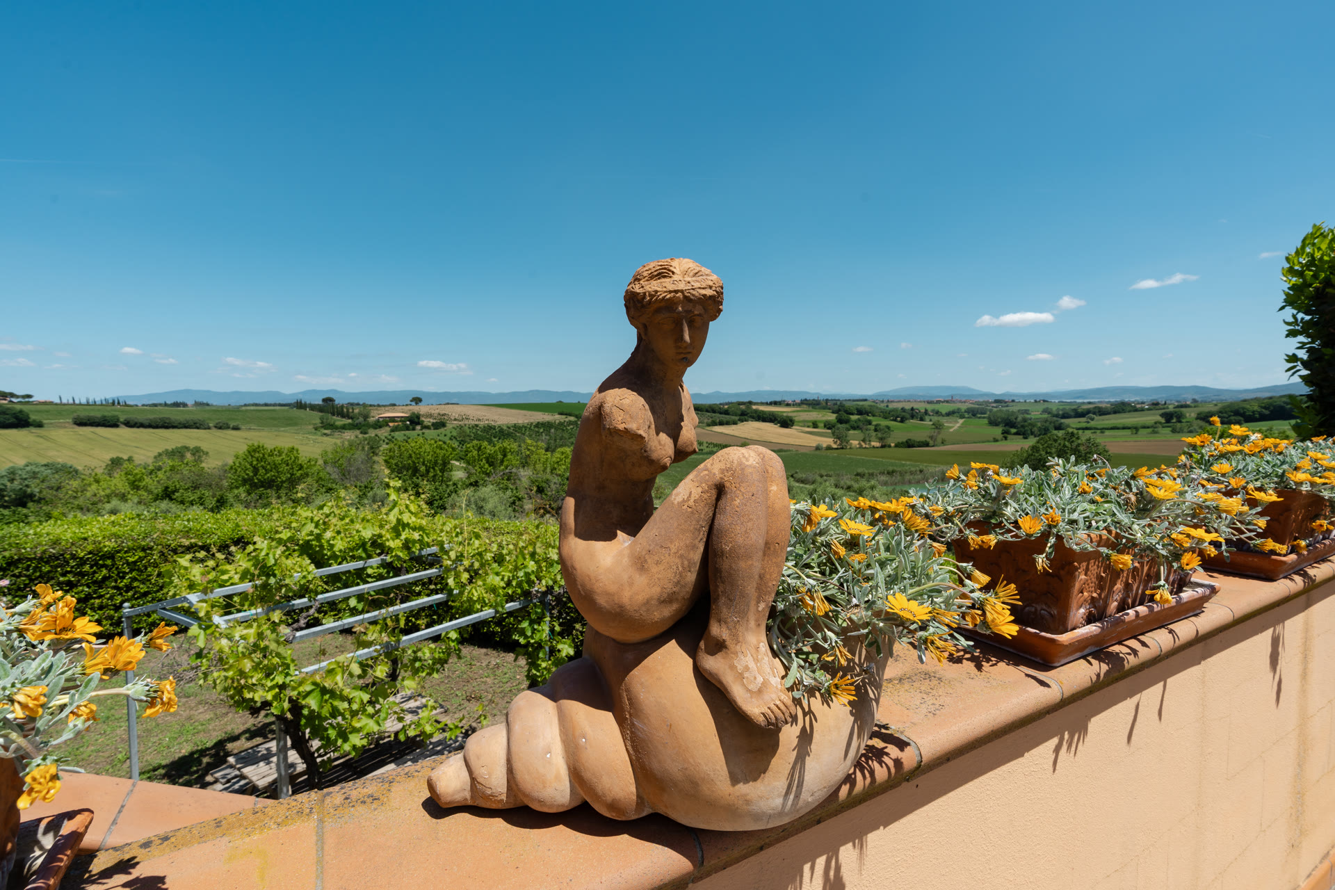 The Valley View