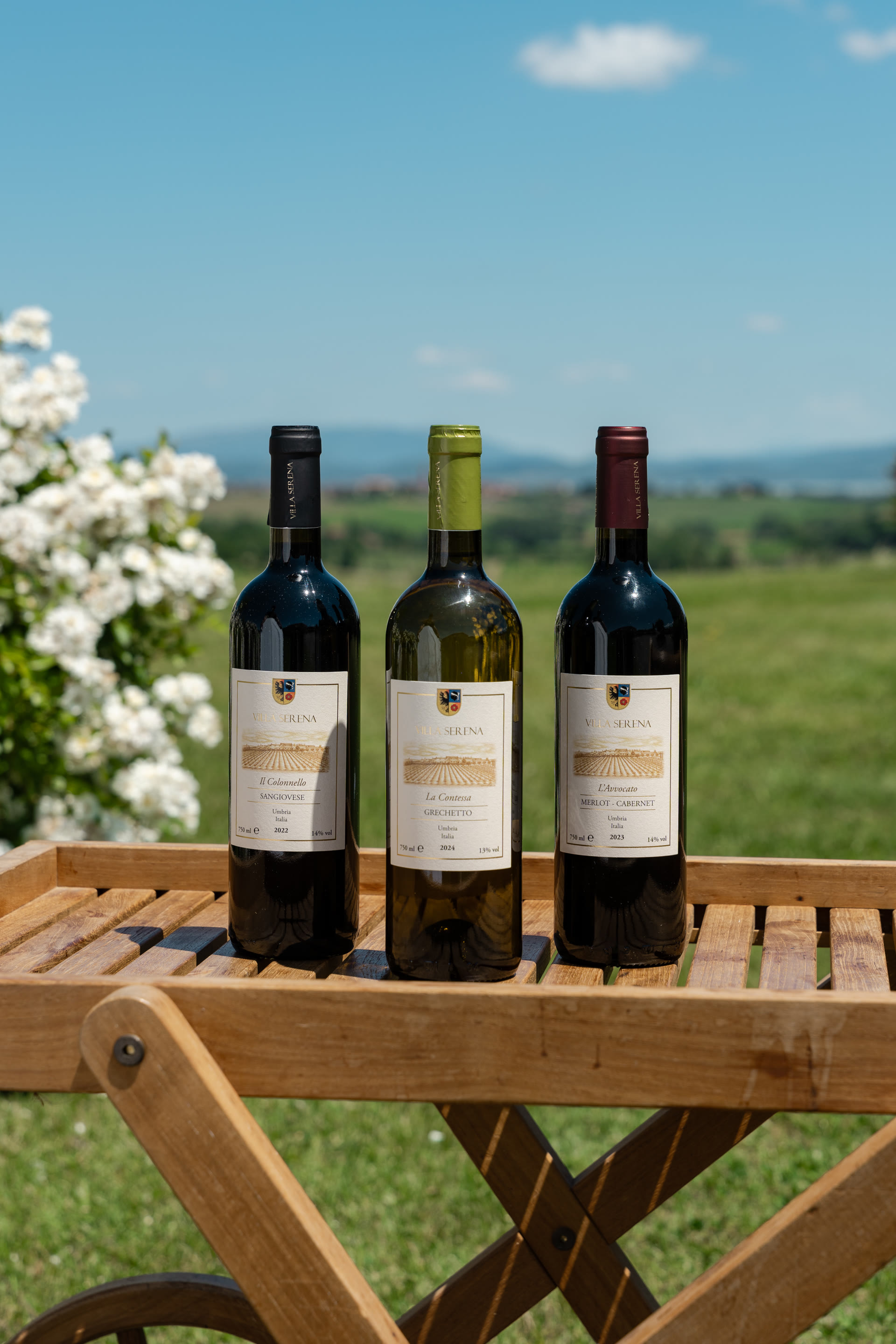 Villa Serena estate wines